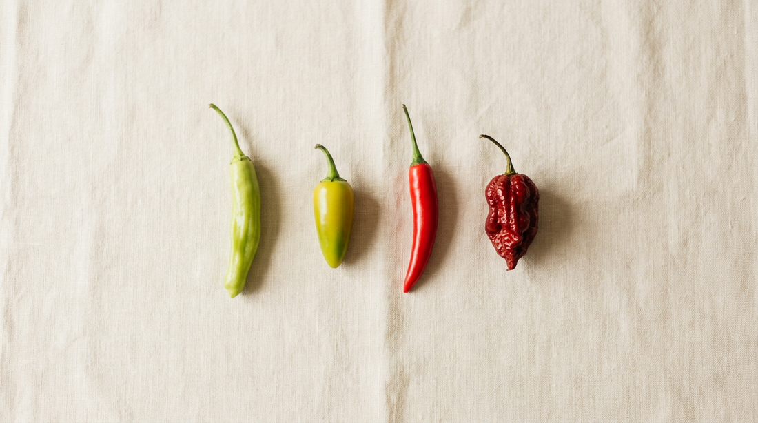 Four fresh chillies in a row on cream linen, ascending in heat from pale green to dark red — illustrating PLB's 0 to 3 chilli heat scale.